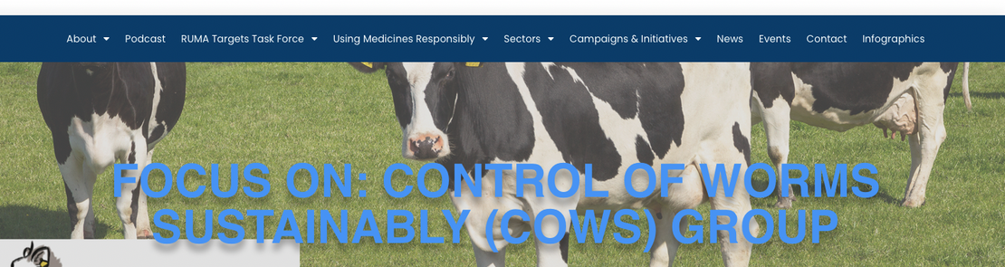 Screenshot-2025-02-28-at-13.19.30