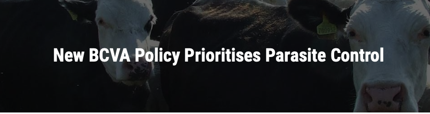 BCVA Policy prioritises parasite control