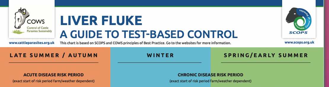 Coloured boxes and logos