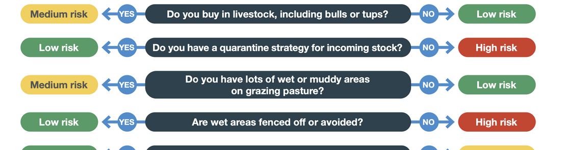 Screenshot-2022-11-22-at-13.30.25