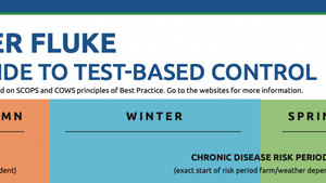 Coloured boxes and logos