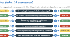 Screenshot-2022-11-22-at-13.30.25